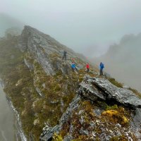 children in the mist becca lunnon